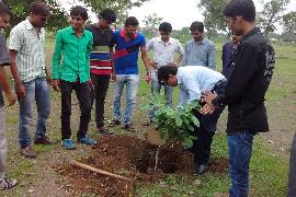 Vruksharopan 6-8-2014 